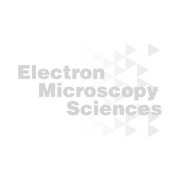 Berylium Grids for Transmission Electron Microscopy